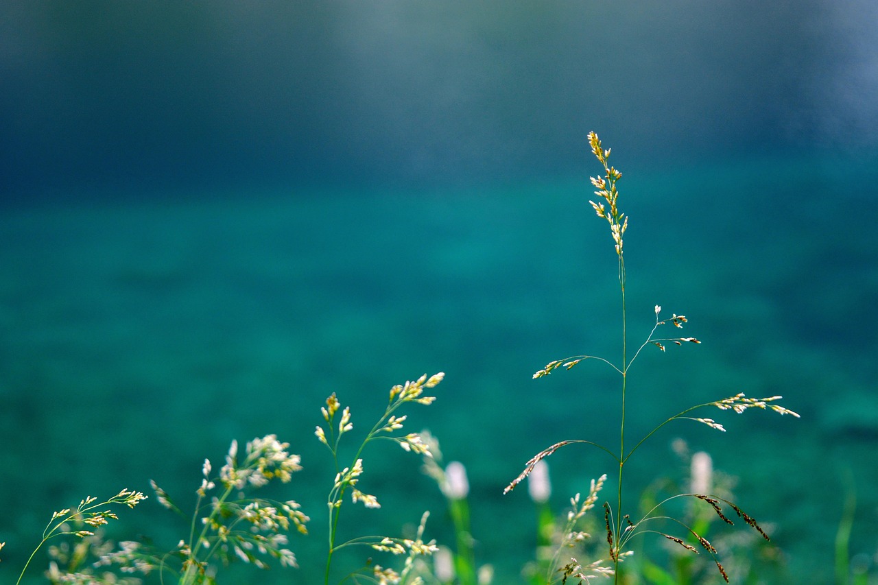 about-page-bg-1